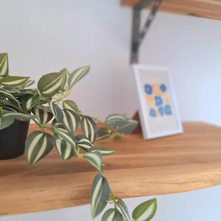 公寓 Harbour Pearl 2 And Kitchen